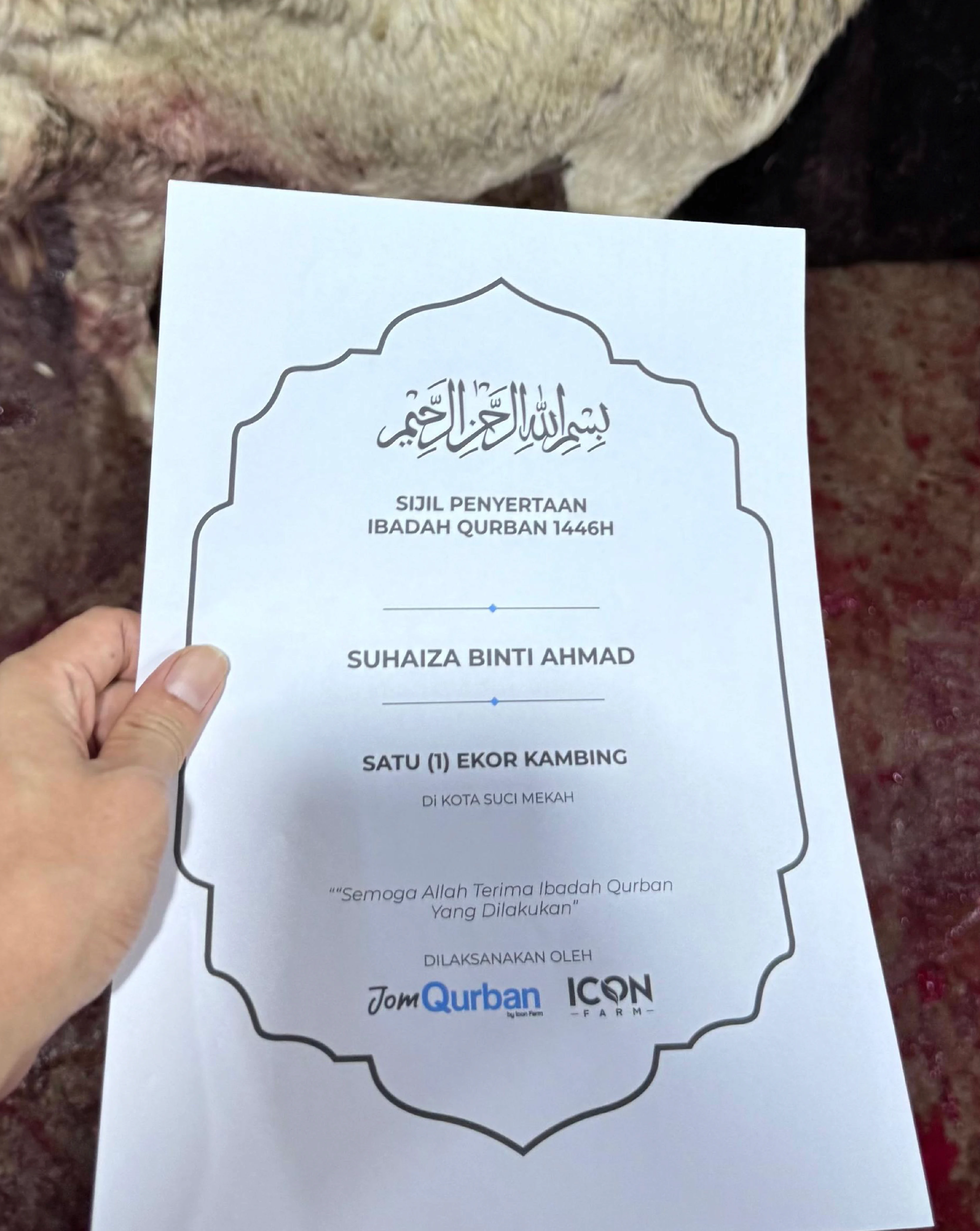 Unta qurban di Mekah