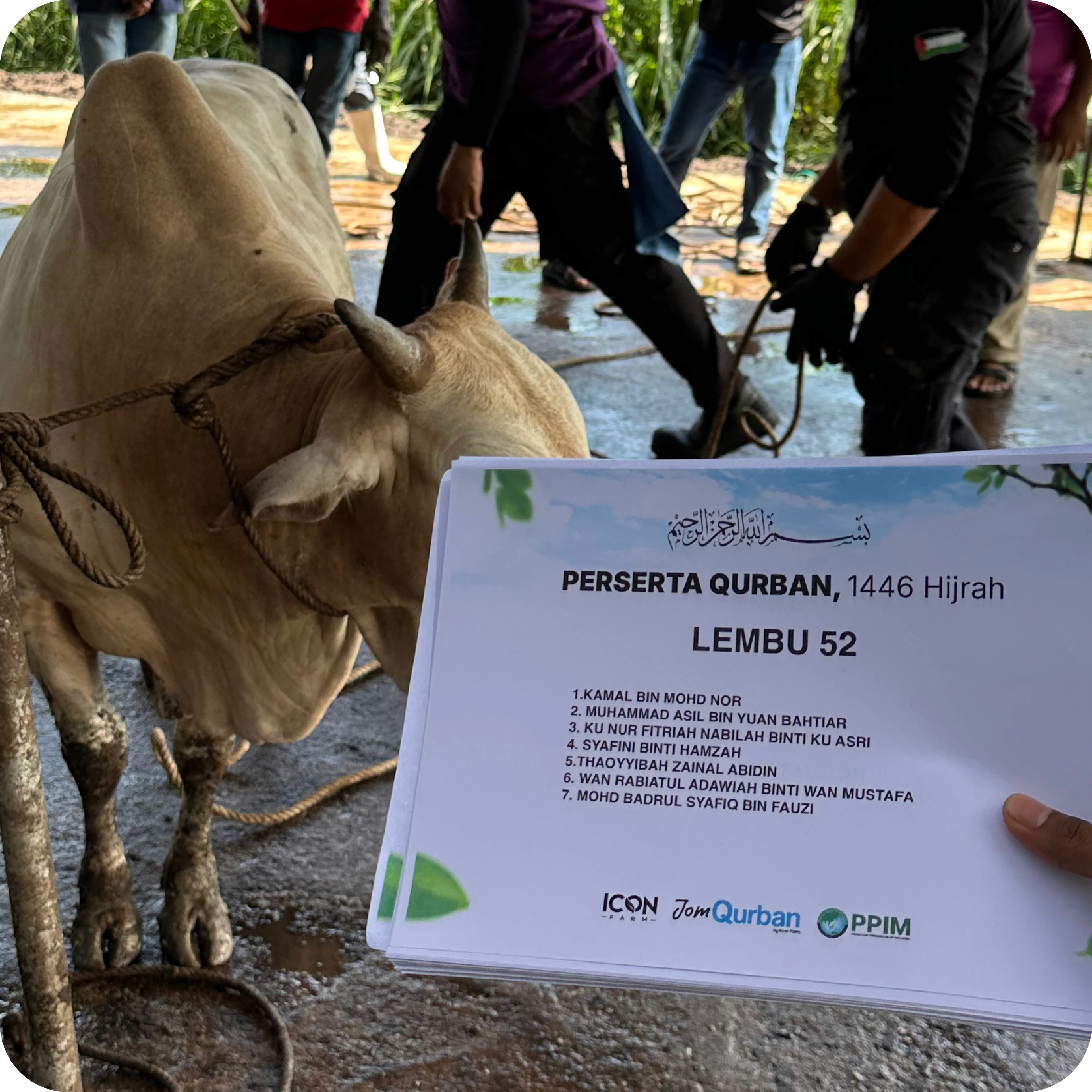 Bukti gambar penyembelihan qurban