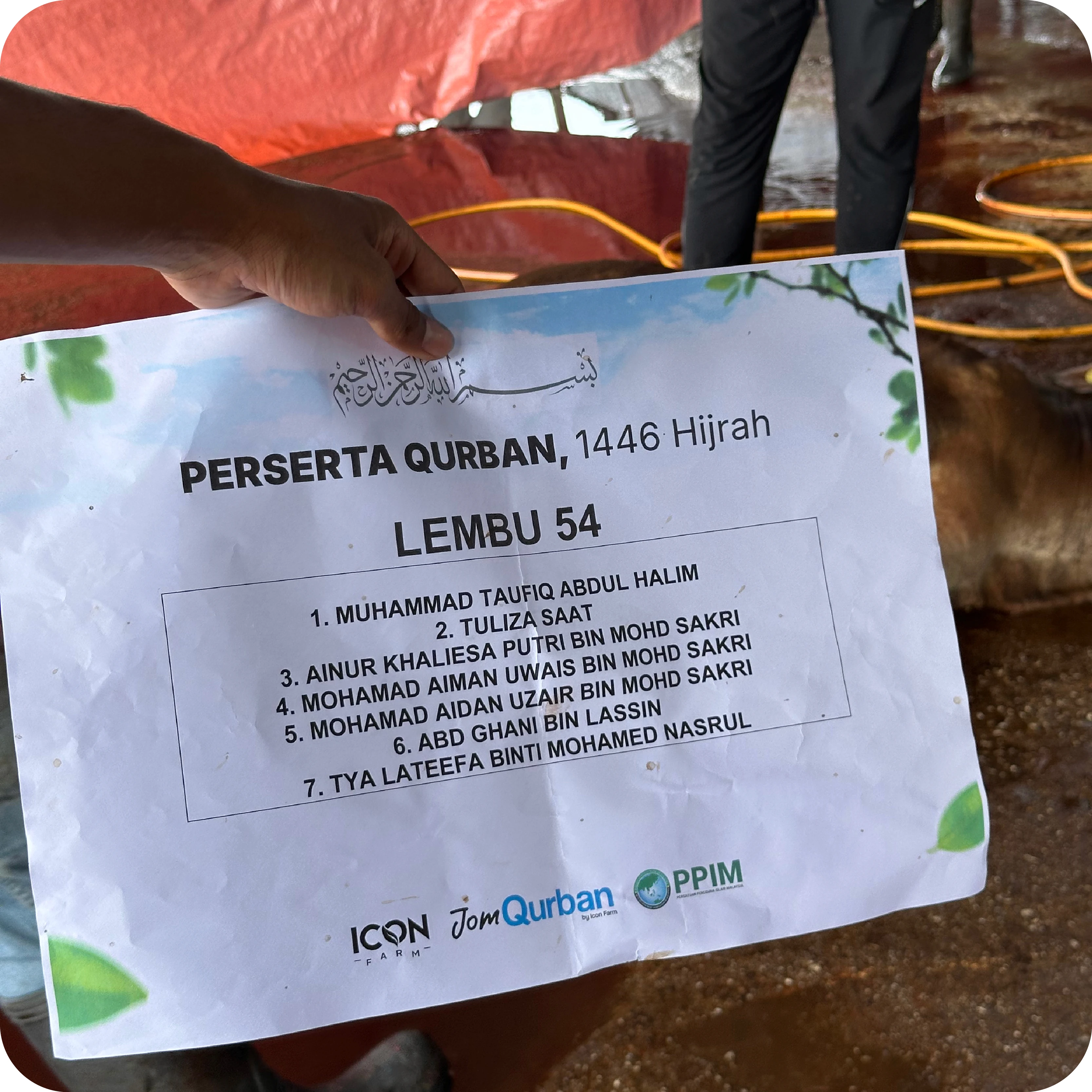 Bukti peserta qurban