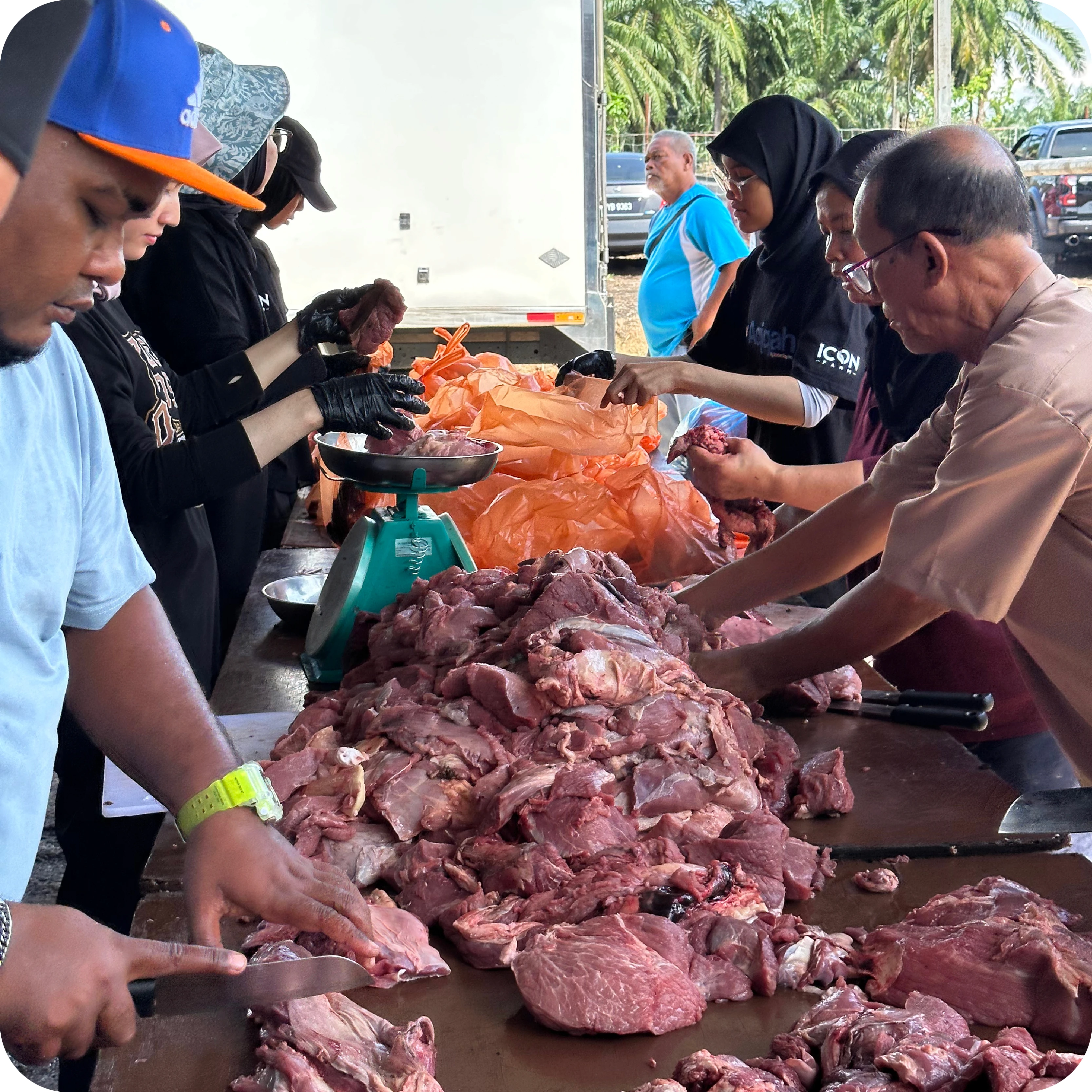 Urusan daging qurban