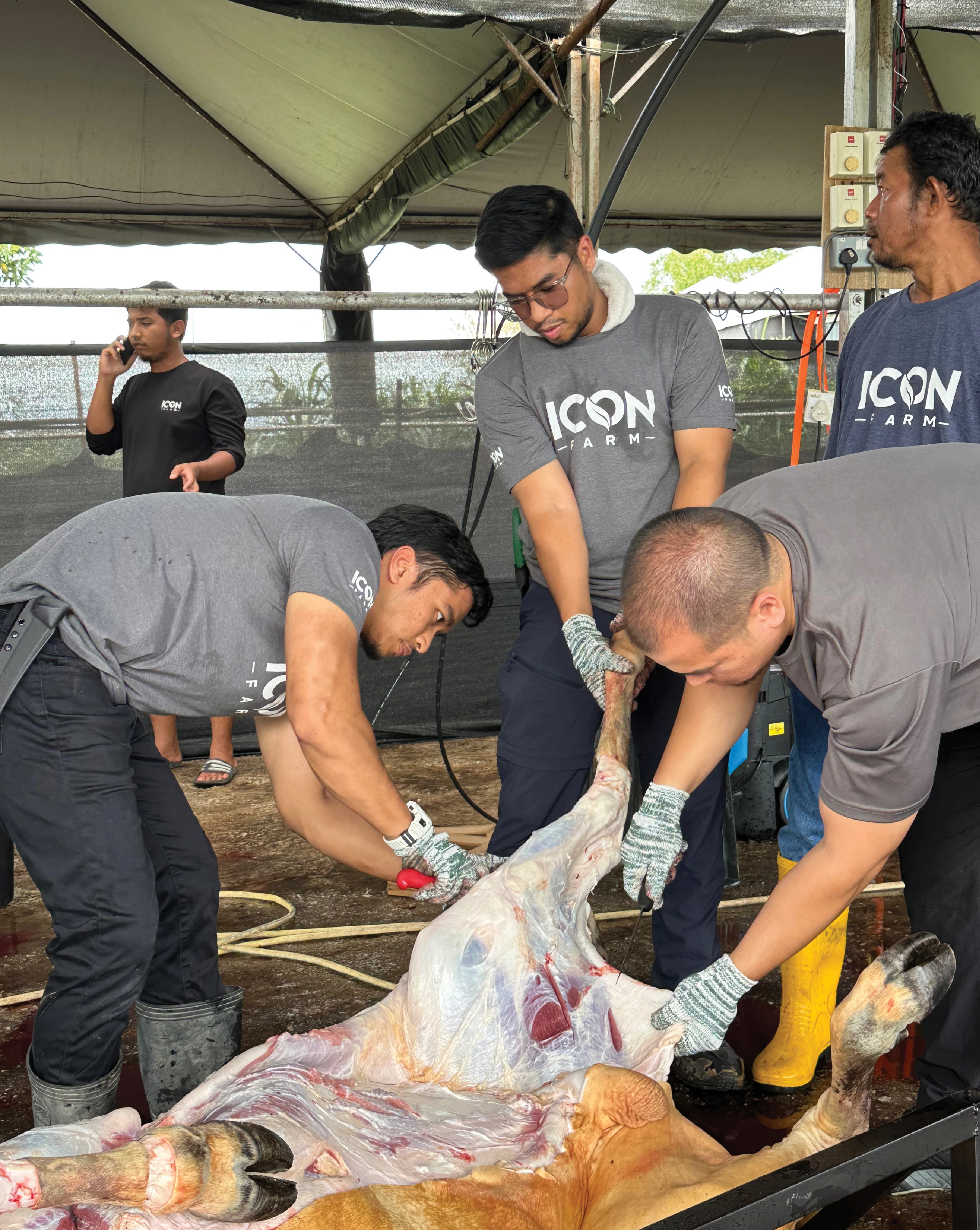 Pasukan menguruskan penyembelihan qurban